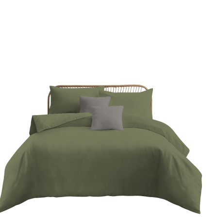ชุดผ้าปูที่นอน 6 ฟุต 5 ชิ้น Ai by Akemi รุ่น ColourJoy 9557108685208 สี Sage Green (ไม่รวมผ้านวม)_0