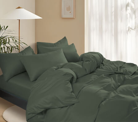 ชุดผ้าปูที่นอน 3.5 ฟุต 3 ชิ้น Ai by Akemi รุ่น ColourShine  9557108529137 สี Cozy Green (ไม่รวมผ้านวม)_2