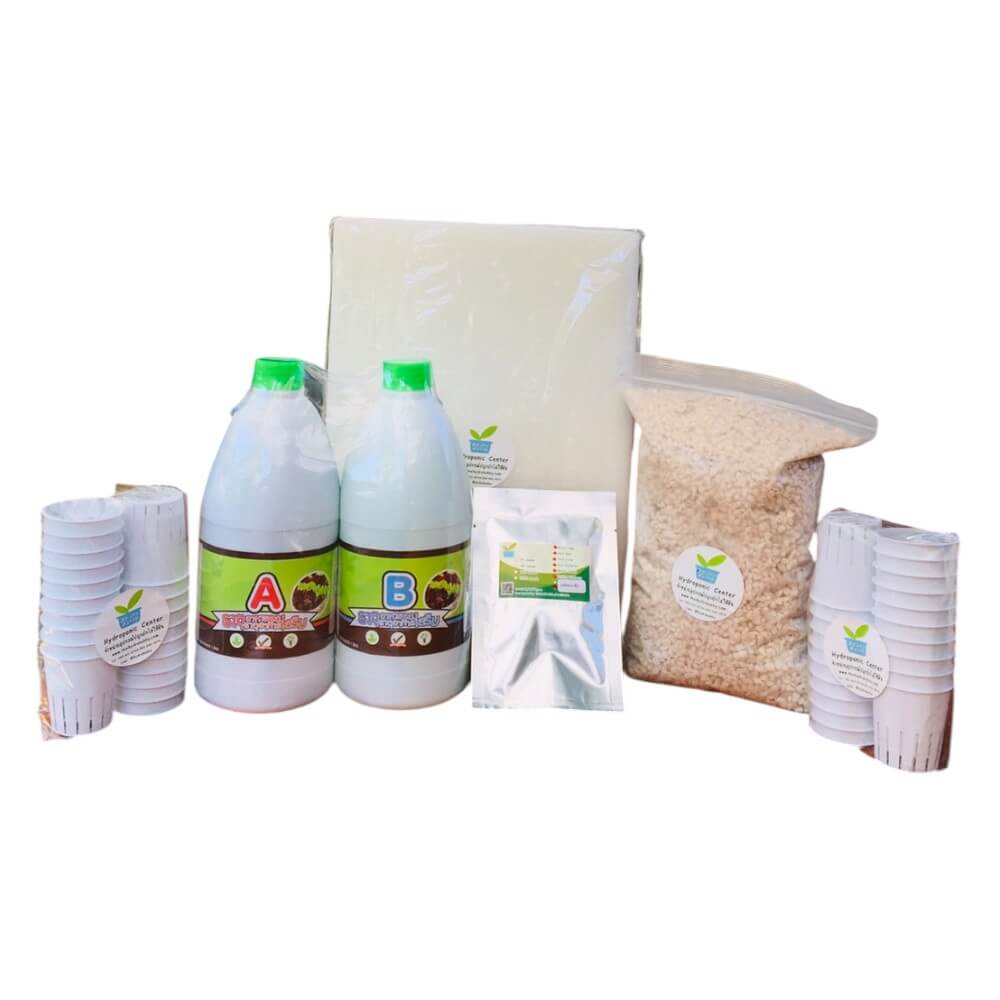 ชุดอุปกรณ์ปลูกผักไฮโดรโปนิกส์ HYDROHOBBY SET C