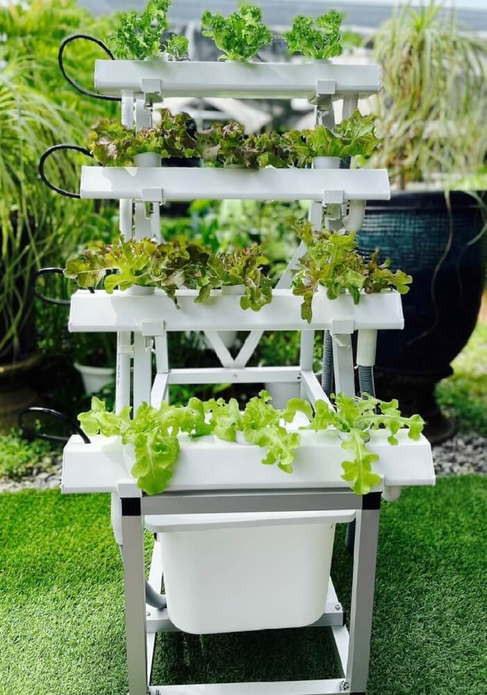 ชุดอุปกรณ์ปลูกผักไฮโดรโปนิกส์ HYDROHOBBY SR แบบ 50 CM. 4 รางปลูก