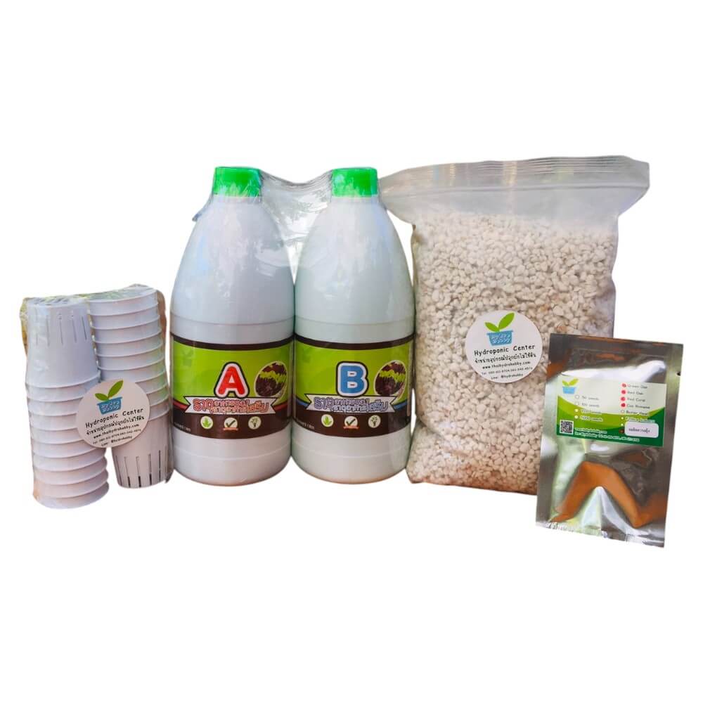 ชุดอุปกรณ์ปลูกผักไม่ใช้ดิน HYDROHOBBY SET A