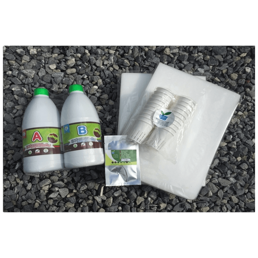 ชุดอุปกรณ์ปลูกผักไฮโดรโปนิกส์ HYDROHOBBY SET B