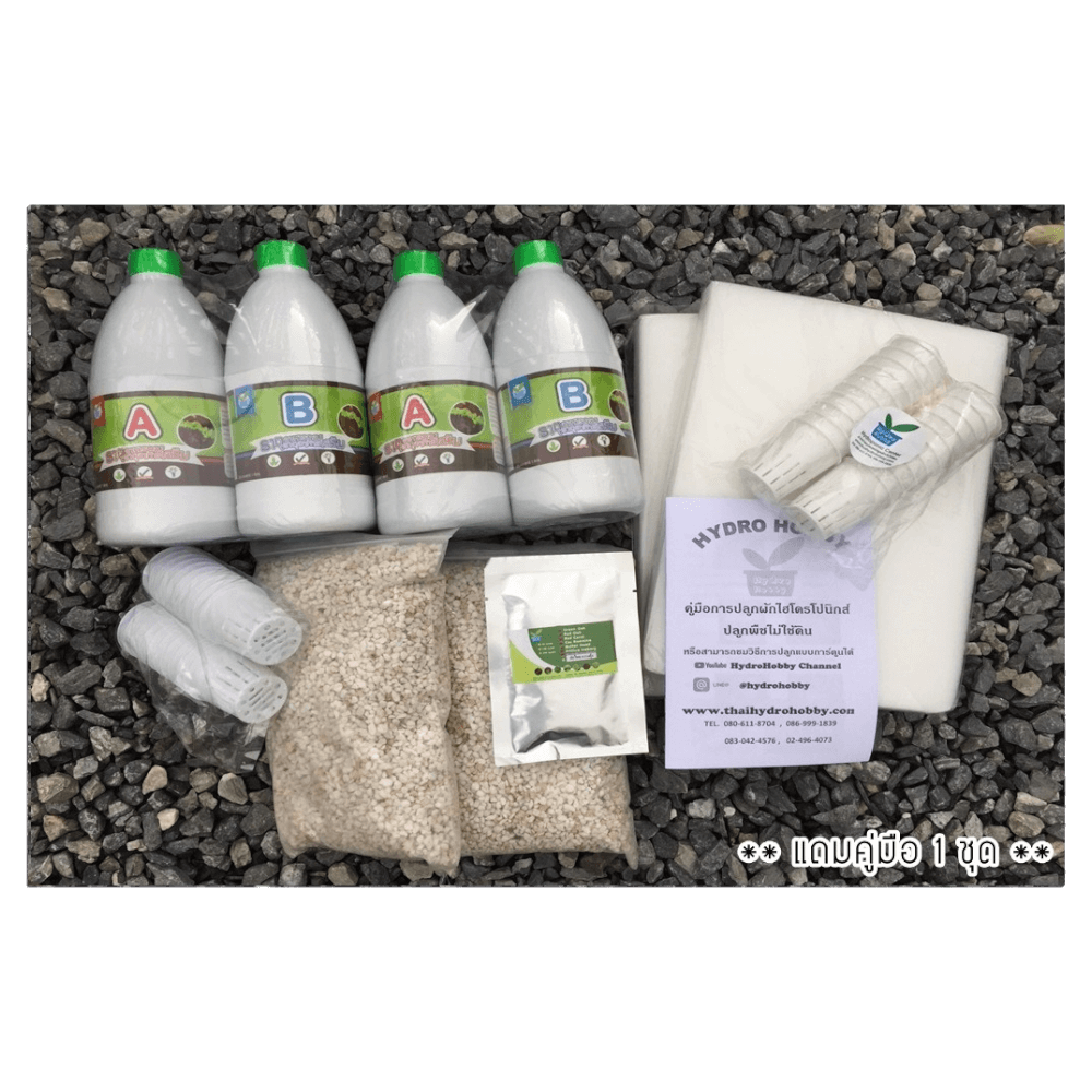 ชุดอุปกรณ์ปลูกผักไฮโดรโปนิกส์ HYDROHOBBY SET D