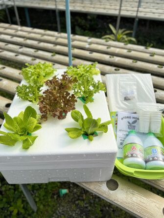ชุดอุปกรณ์ปลูกผักไฮโดรโปนิกส์ HYDROHOBBY HYDRO FOAM BOX ขนาด 39 X 54 X 15 ซม._2