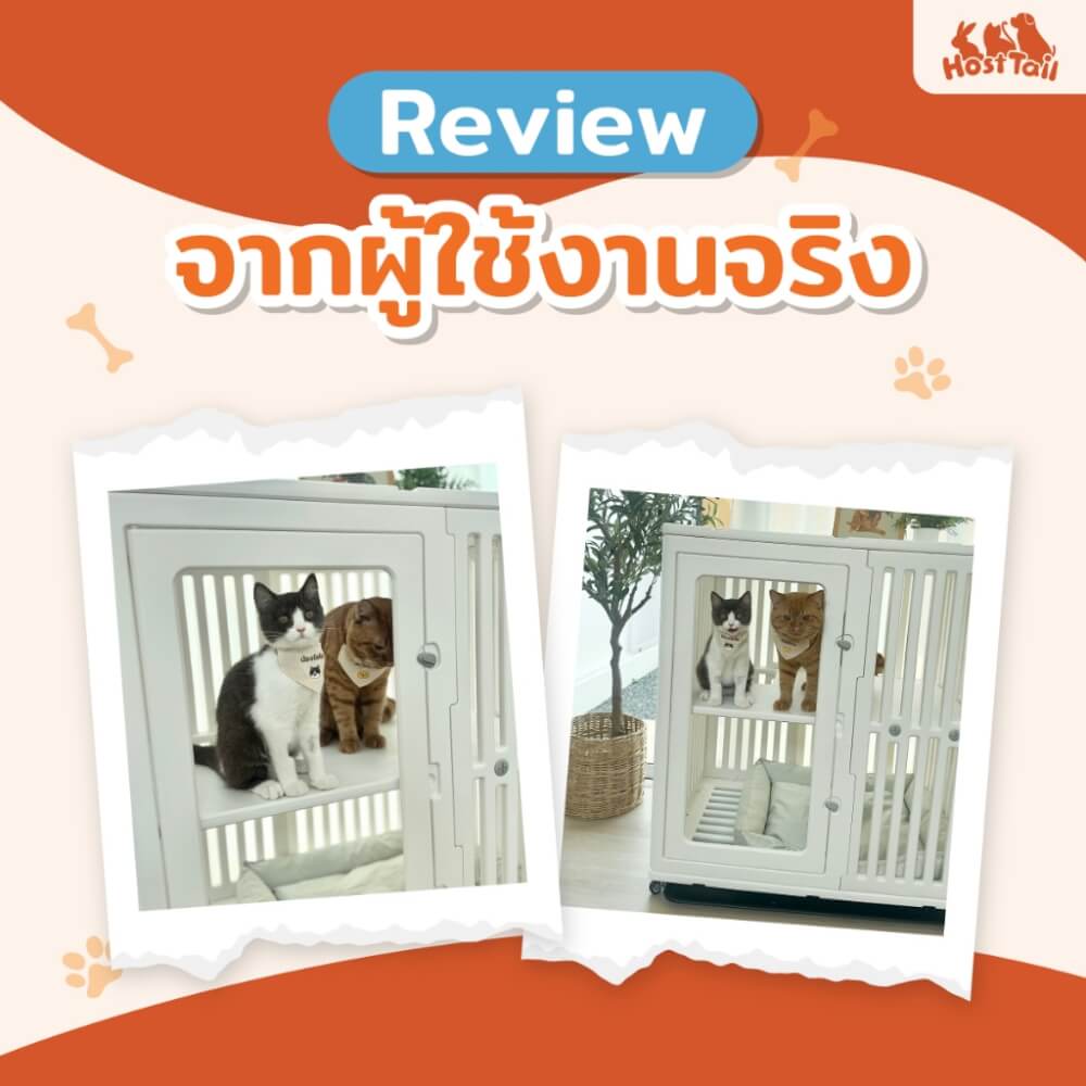 บ้านสัตว์เลี้ยง HOSTTAIL รุ่น CAT SPACE CONDO 3 STEP 85X58X134CM สีขาว