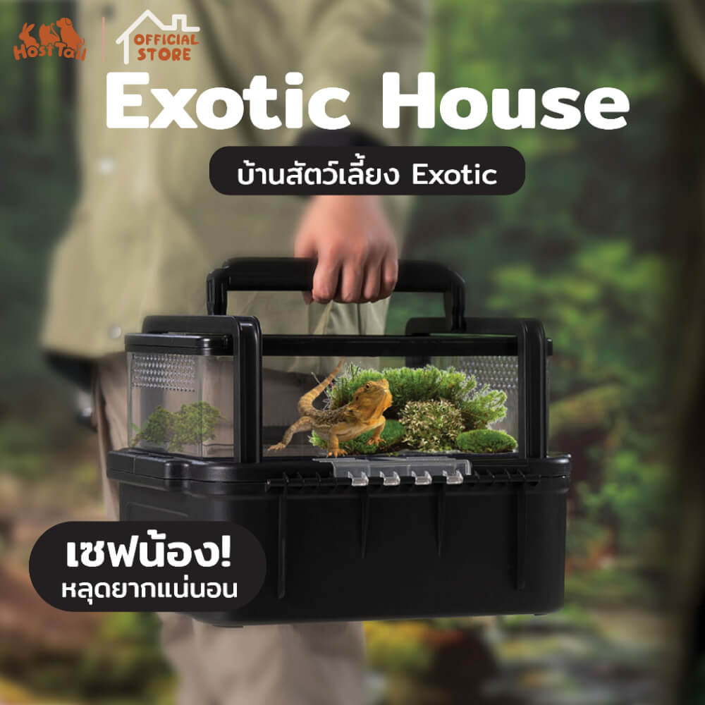 บ้านกล่องเลี้ยงสัตว์ HOSTTAIL รุ่น EXOTIC HOUSE 37X30X25CM สีดำ พกพาได้