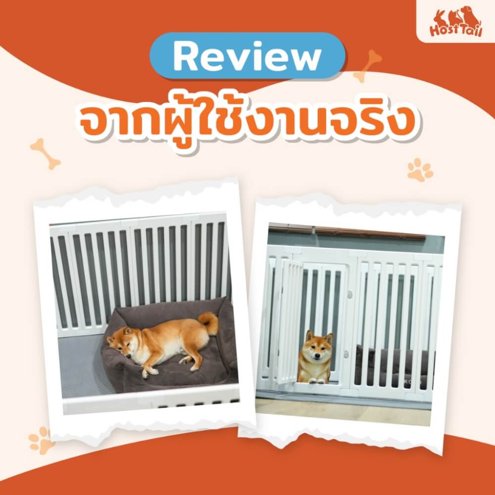 คอกกั้นสุนัข อะคริลิค HOSTTAIL รุ่น EXTRA SAFE สูง 75 ซม.SIZE M เหมาะสำหรับสัตว์พันธุ์ใหญ่