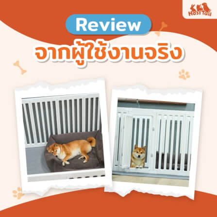 คอกกั้นสุนัข อะคริลิค HOSTTAIL รุ่น EXTRA SAFE สูง 75 ซม.SIZE M เหมาะสำหรับสัตว์พันธุ์ใหญ่_2