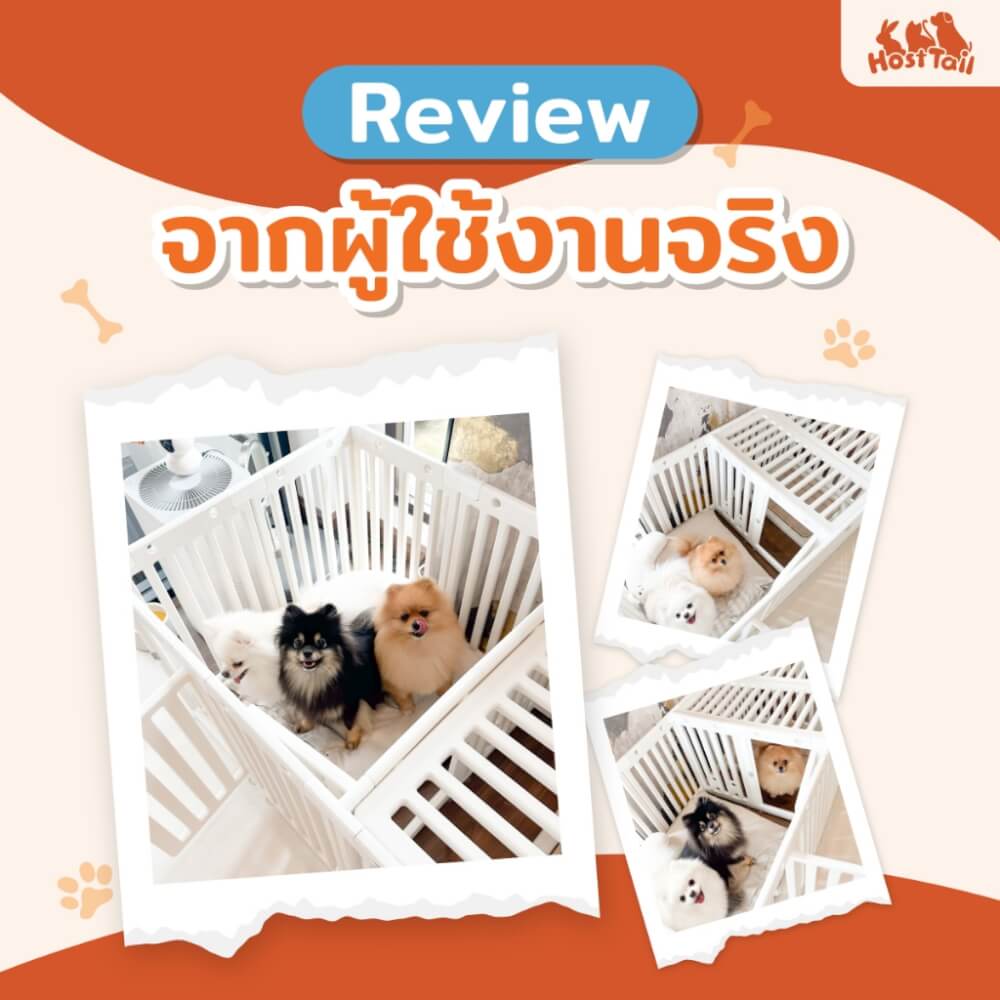 คอกกั้นสุนัข HOSTTAIL รุ่น MULTI SPACE สูง 55 ซม. เหมาะสำหรับสัตว์พันธุ์เล็ก