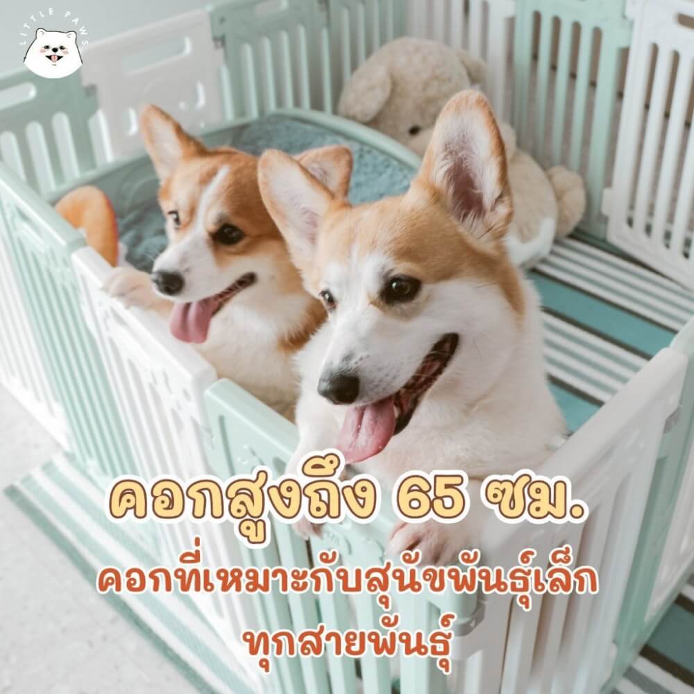 คอกกั้นสุนัข HOSTTAIL รุ่น PET HOME ไซต์ M สี เทา-ขาว