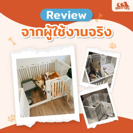 คอกกั้นสุนัข HOSTTAIL รุ่น PET HOME ไซต์ M สี เทา-ขาว_2