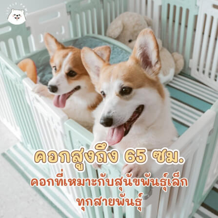 คอกกั้นสุนัข HOSTTAIL รุ่น PET HOME ไซต์ M สี เทา-ขาว_4