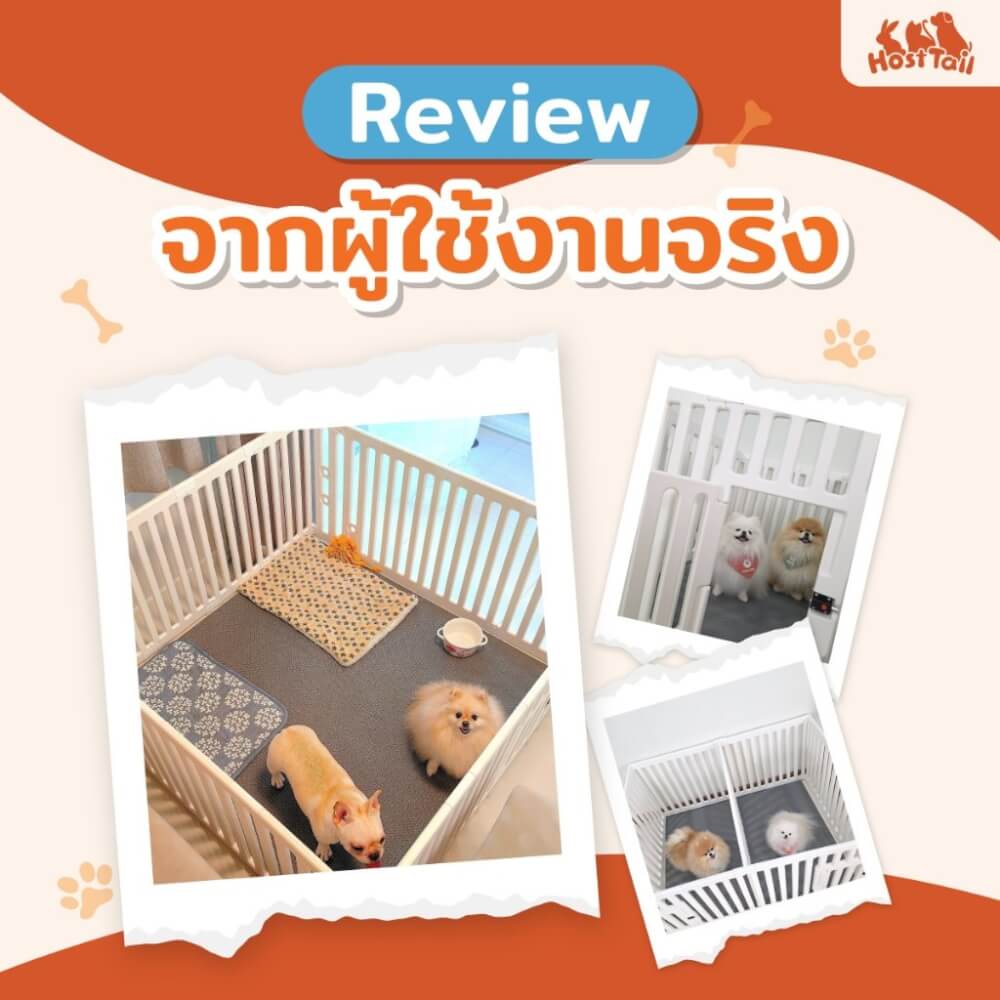 คอกกั้นสุนัข HOSTTAIL รุ่น SUPER SAFE ไซต์ M สีขาว (เหมาะสำหรับสัตว์พันธุ์เล็ก)