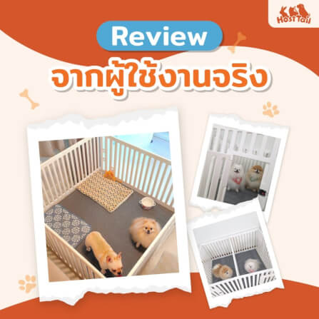 คอกกั้นสุนัข HOSTTAIL รุ่น SUPER SAFE ไซต์ M สีขาว (เหมาะสำหรับสัตว์พันธุ์เล็ก)_2