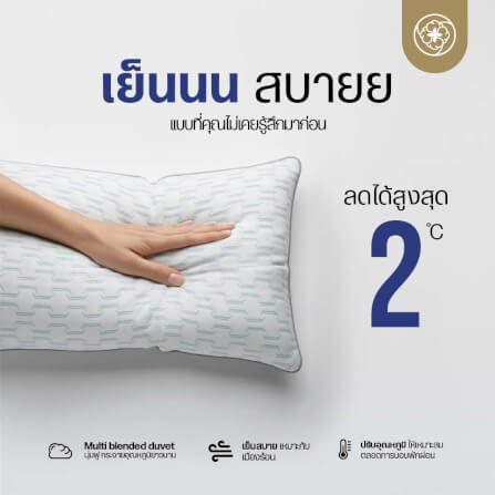 หมอนเย็น ORIENTAS รุ่น COOL SLEEP เย็น สบาย แม้ไม่เปิดแอร์_1