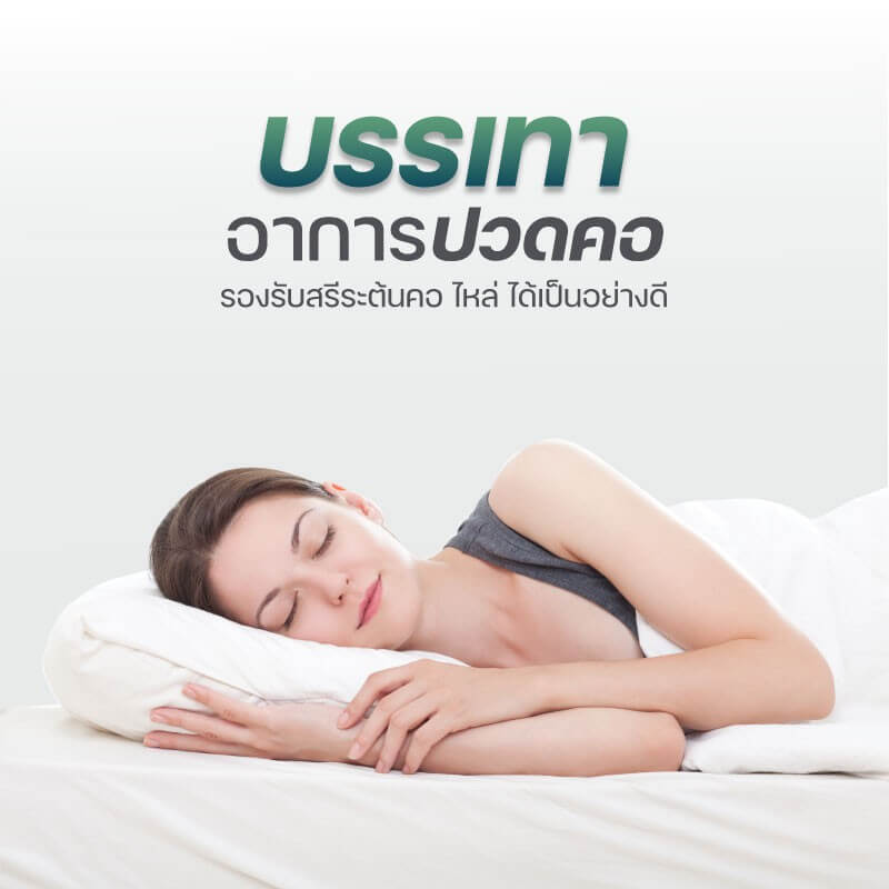 หมอนหนุน DARLING MATTRESS รุ่นยางพาราแท้ 100%(พร้อมปลอกผ้าอย่างดี)