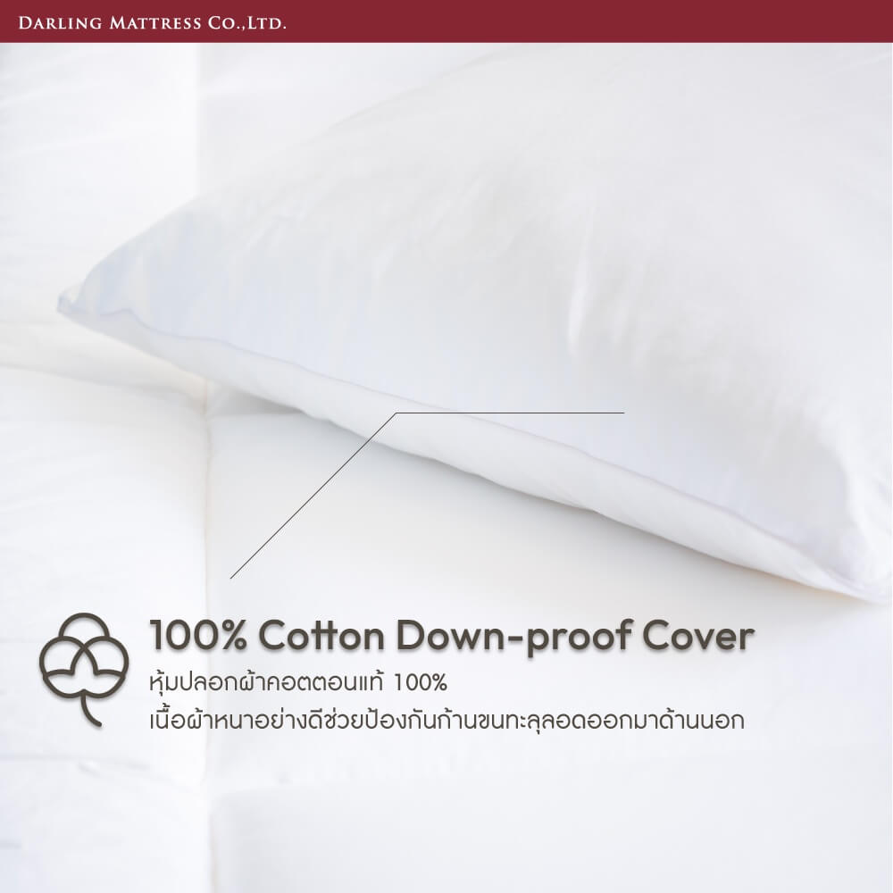 หมอนหนุน DARLING MATTRESS รุ่น FEATHERETT ขนเป็ดแท้ 100%