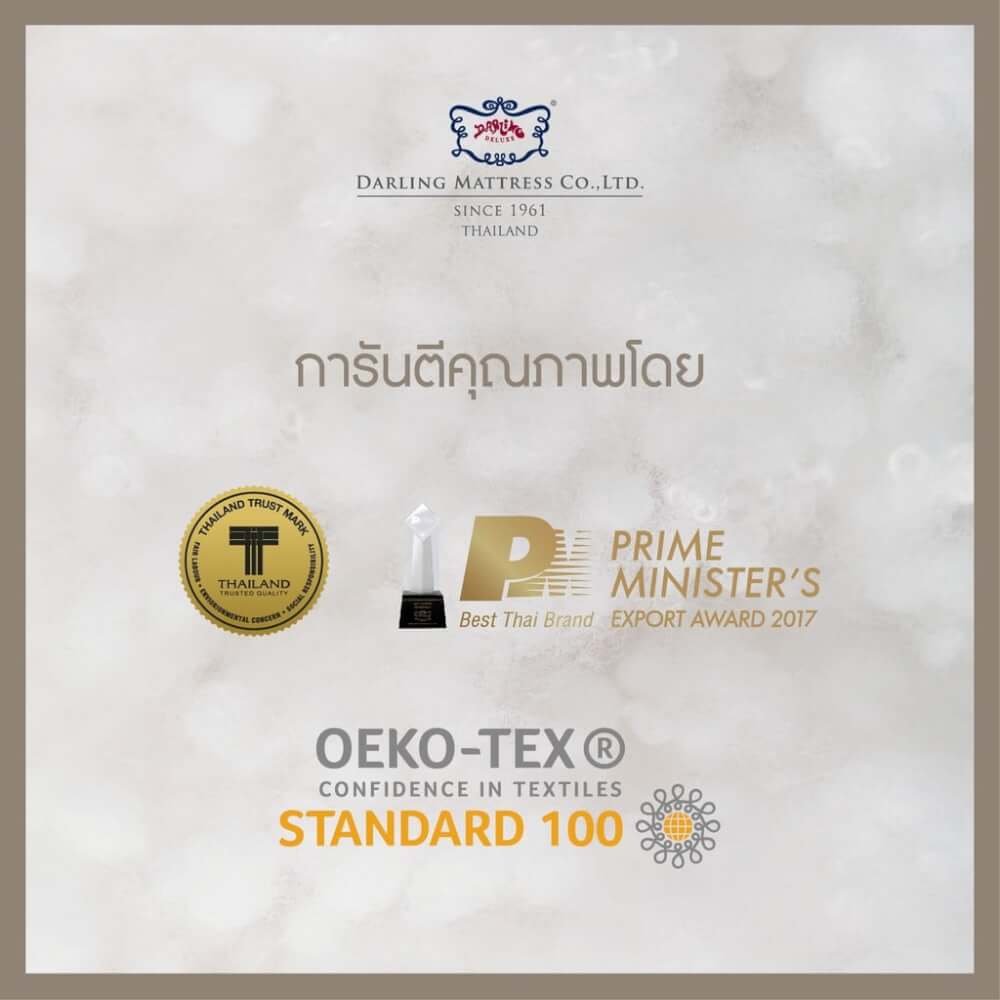ปลอกหมอนหนุน DARLING MATTRESS รุ่นกันน้ำลาย