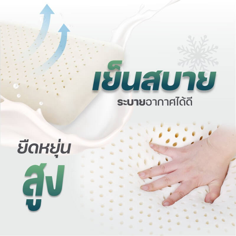 หมอนหนุน DARLING MATTRESS รุ่นยางพาราแท้ 100%(พร้อมปลอกผ้าอย่างดี)