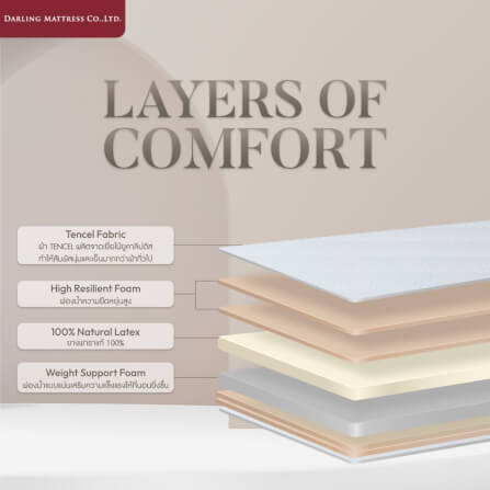 ที่นอนสปริงแบบนุ่ม 6 ฟุต DARLING MATTRESS รุ่นพาราพีดิก_1
