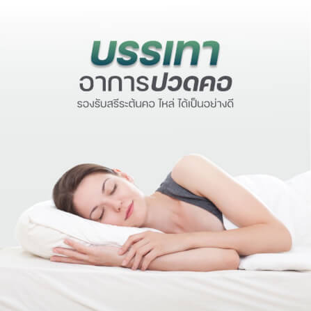 หมอนหนุน DARLING MATTRESS รุ่นยางพาราแท้ 100% (พร้อมปลอกผ้าอย่างดี) แพ็คคู่_1