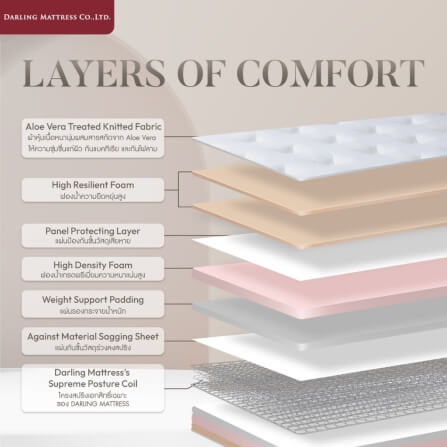 ที่นอนสปริงแบบนุ่ม 6 ฟุต DARLING MATTRESS รุ่นแบ็คแคร์ออร์โธพีดิค_2