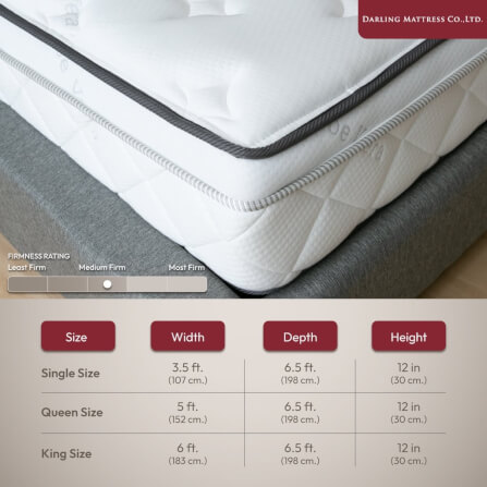 ที่นอนสปริงแบบนุ่ม 6 ฟุต DARLING MATTRESS รุ่นแบ็คแคร์ออร์โธพีดิค_6
