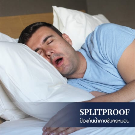 ปลอกหมอนหนุน DARLING MATTRESS รุ่นกันน้ำลาย_7