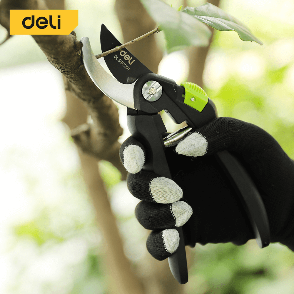 กรรไกรตัดกิ่ง DELI EDL580201-GN-01 8.5นิ้ว สีเขียว