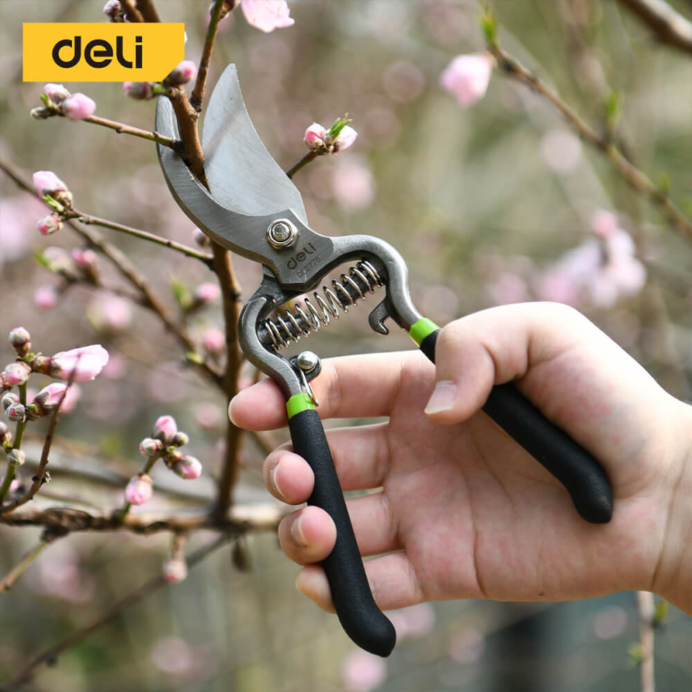 กรรไกรตัดกิ่ง DELI EDL2778-BK-01 8นิ้ว สีเขียว
