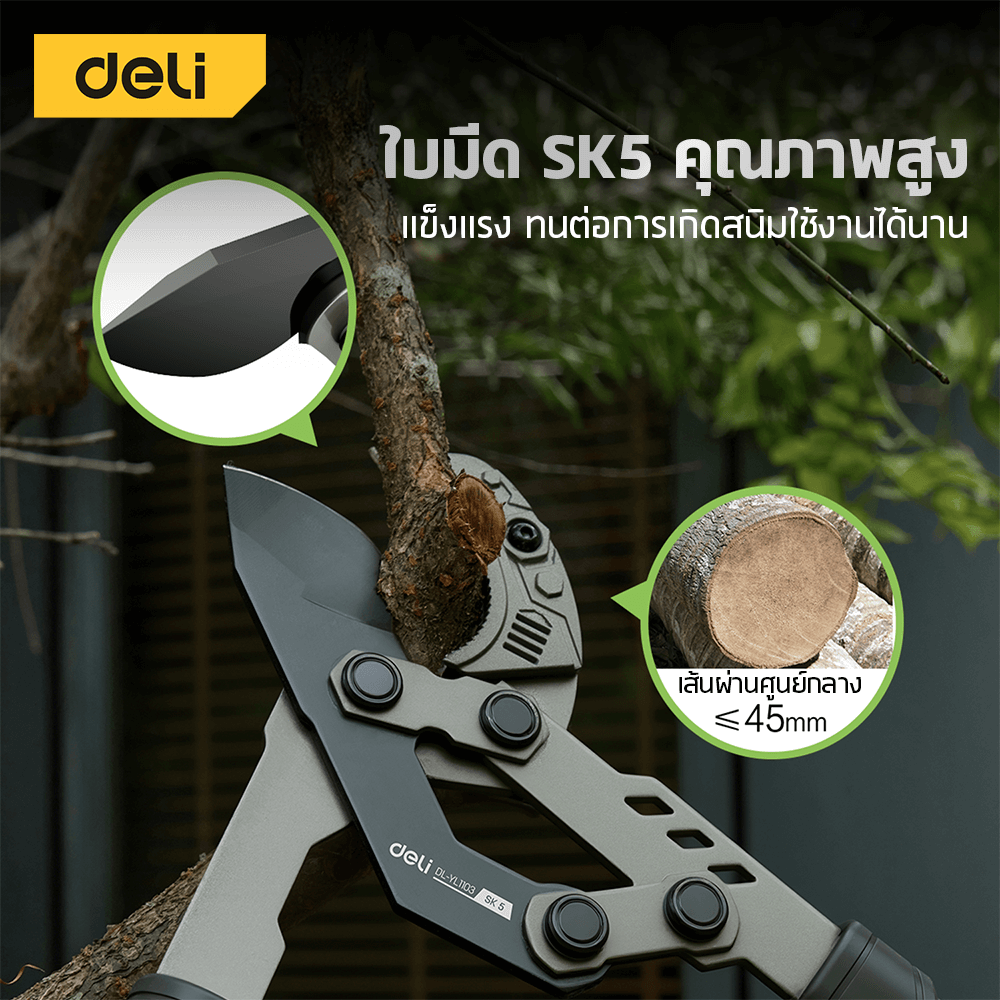 กรรไกรตัดกิ่งไม้ด้ามยาว DELI EDL-YL1103-GN-01 78 ซม.