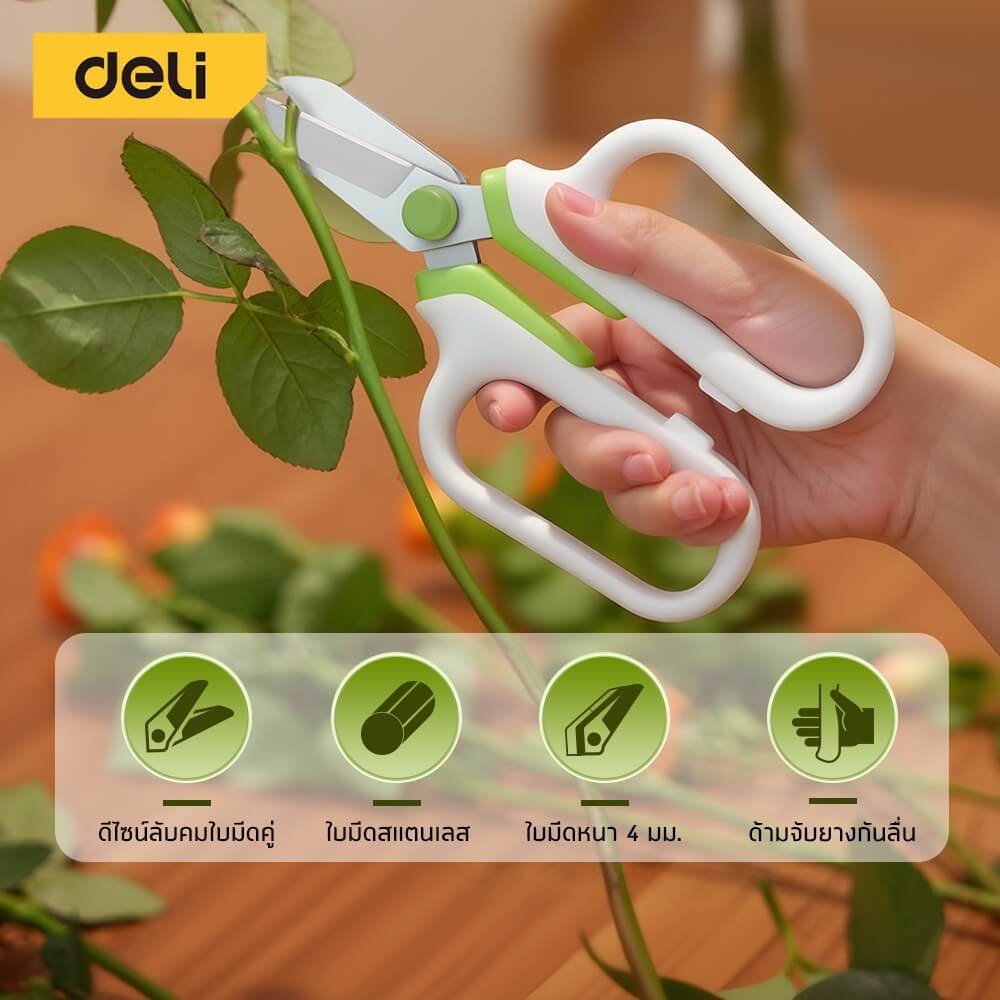 กรรไกรตัดแต่งกิ่ง DELI EDL-YL0008-GN-01 7 นิ้ว สีเขียว