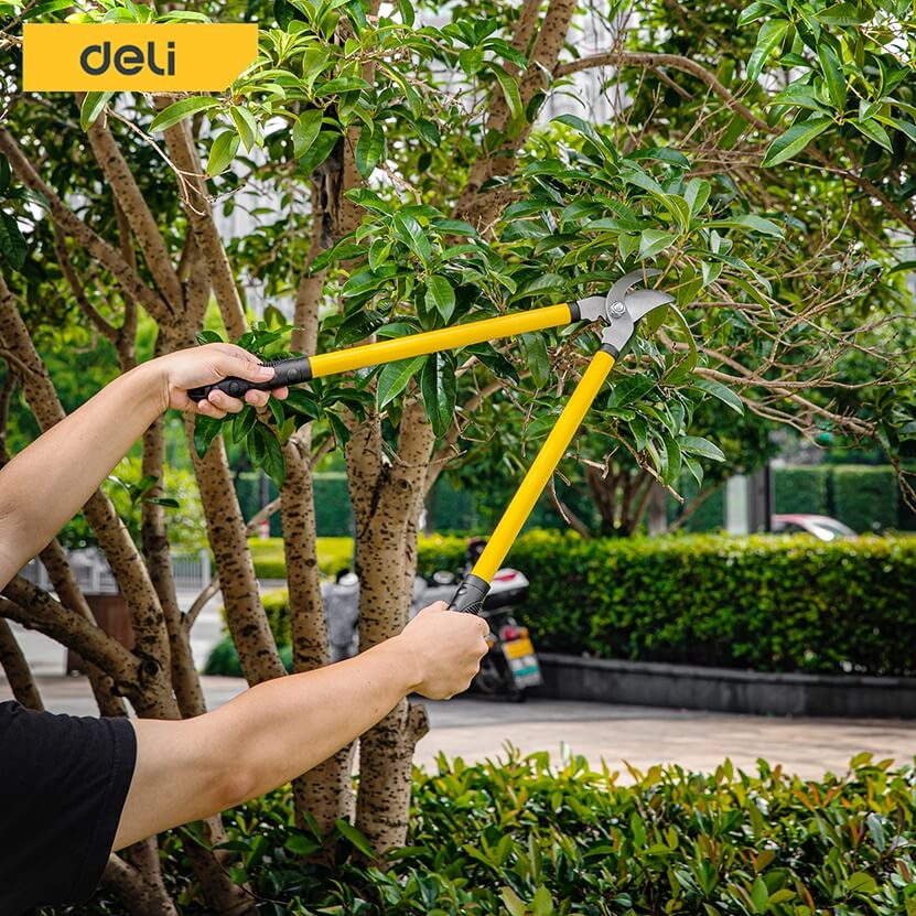 กรรไกรตัดกิ่ง DELI EDL580003-YL-01 เซ็ท 3ชิ้น สีเขียว