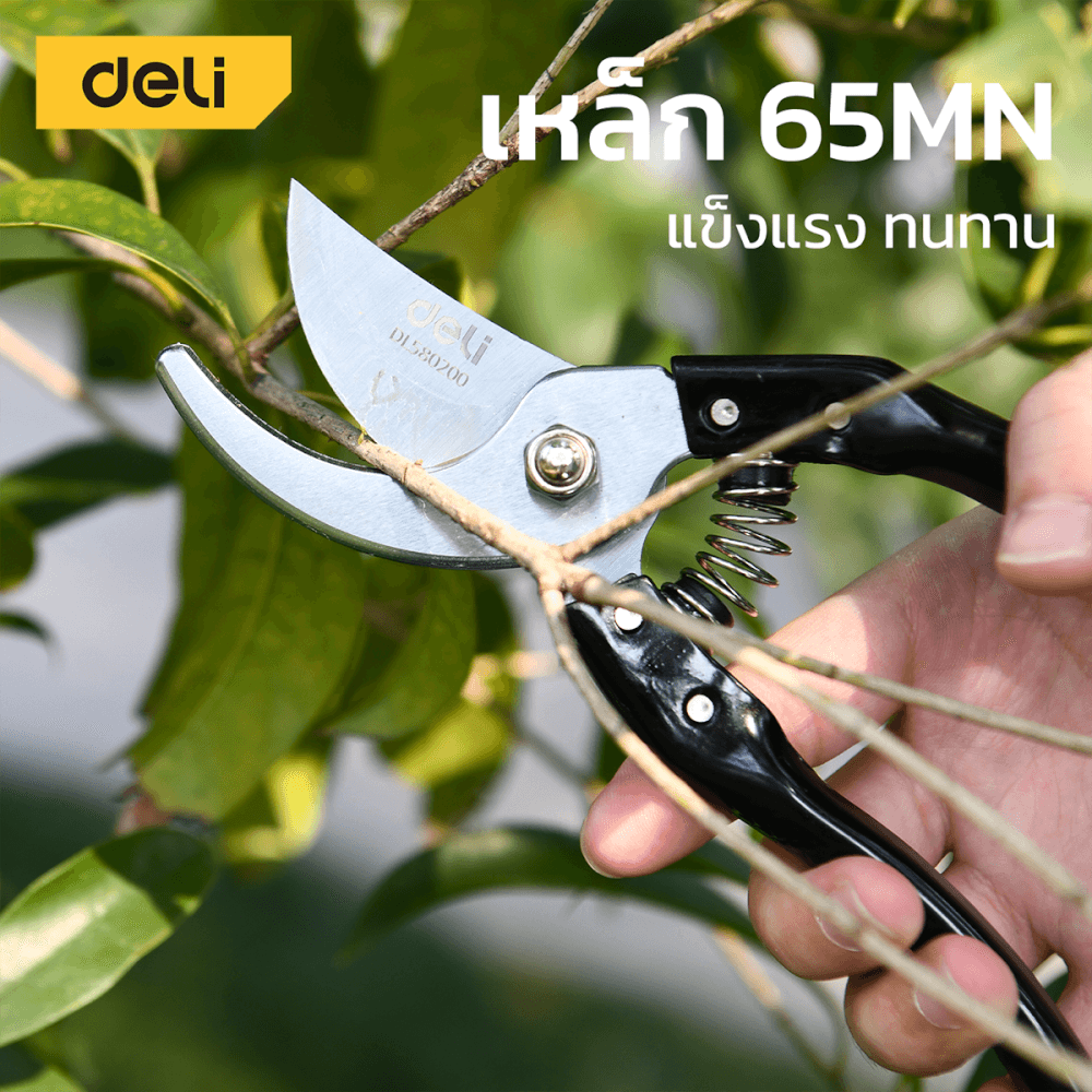 กรรไกรตัดกิ่ง DELI EDL580200-BK-01 8นิ้ว สีดำ