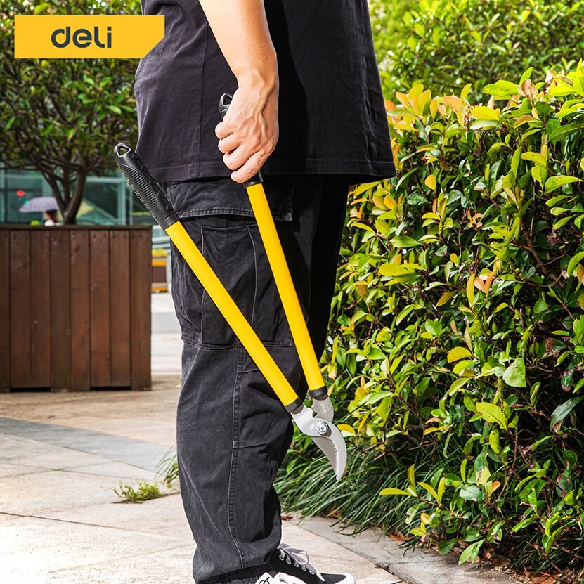 กรรไกรตัดกิ่ง DELI EDL580003-YL-01 เซ็ท 3ชิ้น สีเขียว