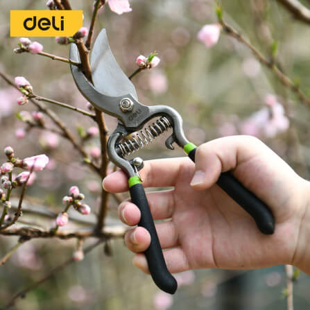 กรรไกรตัดกิ่ง DELI EDL2778-BK-01 8นิ้ว สีเขียว_1