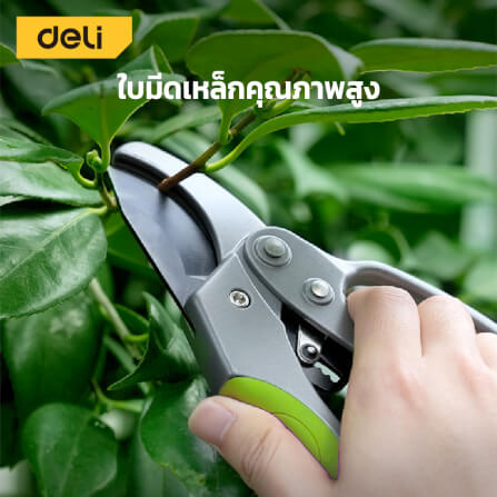 กรรไกรตัดกิ่ง DELI EDL580229-GN-01 8นิ้ว สีเทา_1