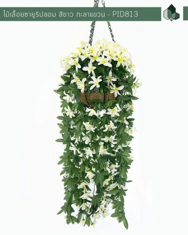ไม้เลื้อยซายูริปลอม PIMARN รุ่น PID813 ยาว 70 ซม.สีขาว,แบบแขวนกระถางใยมะพร้าว