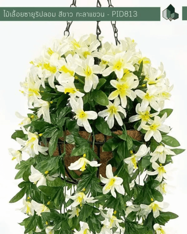 ไม้เลื้อยซายูริปลอม PIMARN รุ่น PID813 ยาว 70 ซม.สีขาว,แบบแขวนกระถางใยมะพร้าว