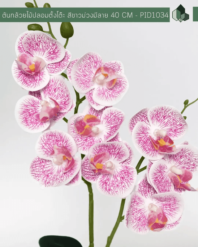 ดอกกล้วยไม้ปลอม PIMARN รุ่น PID1034 สูง 40 ซม.- สีขาวม่วง พร้อมกระถาง