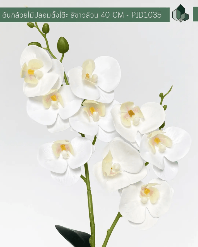 ดอกกล้วยไม้ปลอม PIMARN รุ่น PID1035 สูง 40 ซม.,สีขาว พร้อมกระถาง