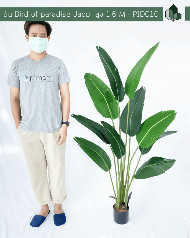 ต้นเบิร์ดปลอม PIMARN รุ่น PID010 สูง 1.6 เมตร