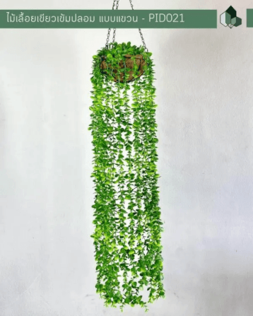 ไม้เลื้อยปลอม PIMARN รุ่น PID021 สูง 110 CM - สีเขียวเข้ม แบบแขวนกระถางใยมะพร้าว_1