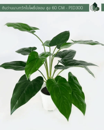 ต้นว่านนางกวักใบโพธิ์ปลอม PIMARN รุ่น PID300 สูง 60 CM - 14 ใบ_1