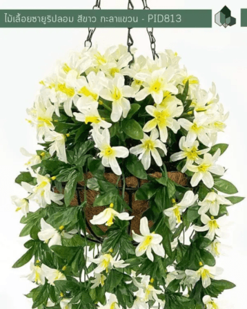 ไม้เลื้อยซายูริปลอม PIMARN รุ่น PID813 ยาว 70 ซม.สีขาว,แบบแขวนกระถางใยมะพร้าว_2