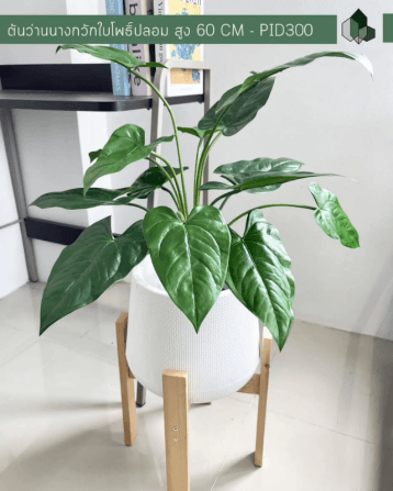 ต้นว่านนางกวักใบโพธิ์ปลอม PIMARN รุ่น PID300 สูง 60 CM - 14 ใบ_3
