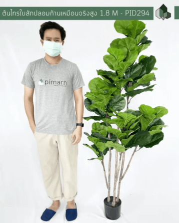 ต้นไทรใบสักปลอม PIMARN รุ่น PID294 สูง 1.8 เมตร ก้านเสมือนจริง_3