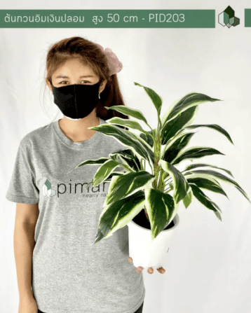 ต้นกวนอิมเงินปลอม PIMARN รุ่น PID203 สูง 50 CM_4