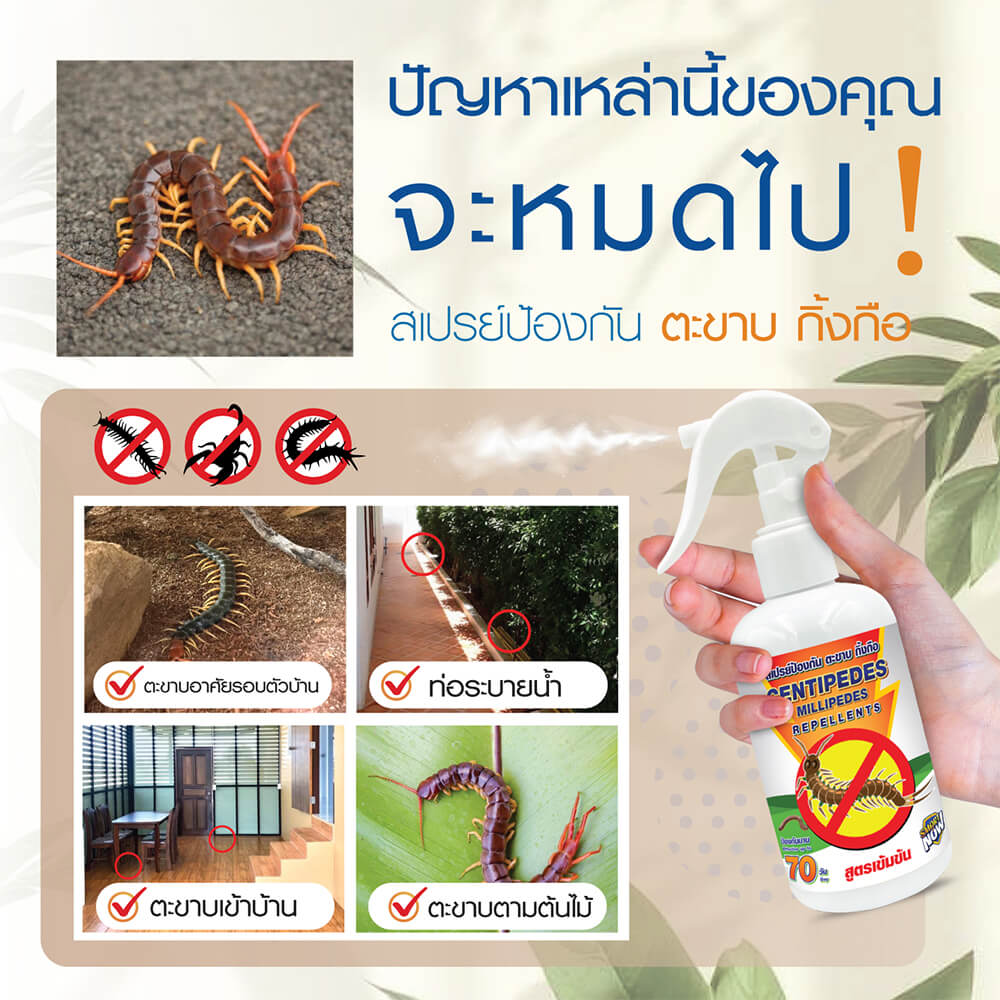 สเปรย์สมุนไพรไล่ตะขาบ แมงป่อง กิ้งกือ SMARTNOW 250 มล.