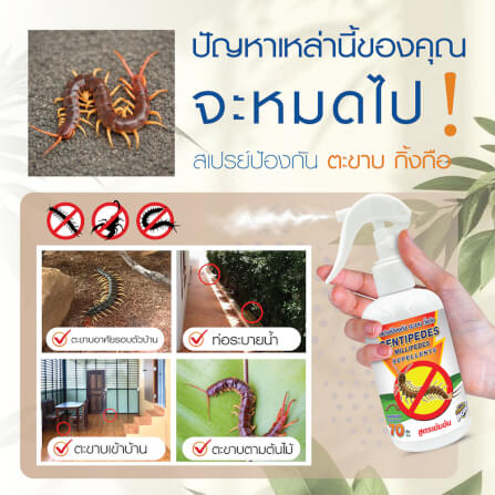 สเปรย์สมุนไพรไล่ตะขาบ แมงป่อง กิ้งกือ SMARTNOW 250 มล._1